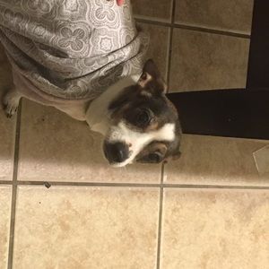 Meet your Posher, Jon